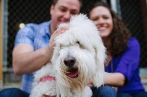 1966912_10102213896939704_3244015389630430655_n